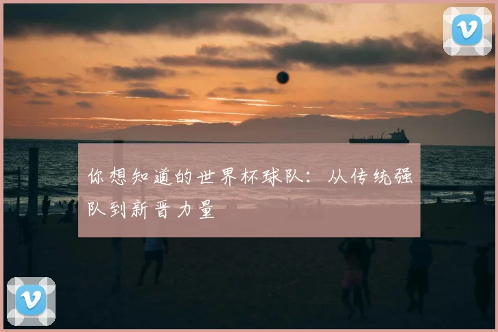 你想知道的世界杯球队:从传统强队到新晋力量