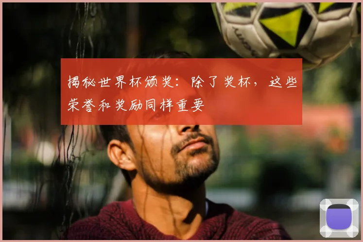 揭秘世界杯颁奖：除了奖杯，这些荣誉和奖励同样重要