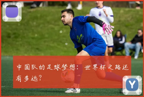 中国队的足球梦想：世界杯之路还有多远？
