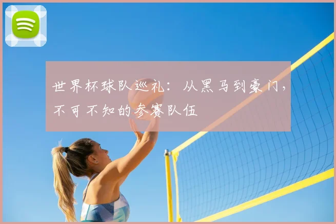 世界杯球队巡礼：从黑马到豪门，不可不知的参赛队伍