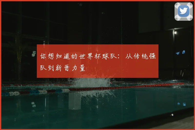 你想知道的世界杯球队：从传统强队到新晋力量