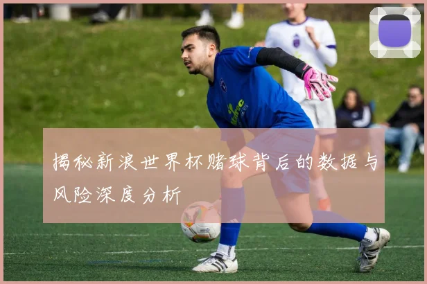 揭秘新浪世界杯赌球背后的数据与风险深度分析