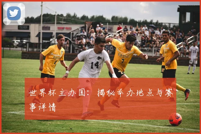 世界杯主办国：揭秘举办地点与赛事详情